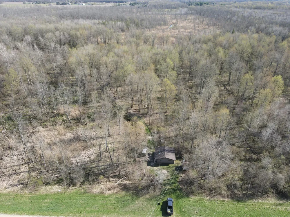 6095 E M 20 Hesperia, MI 49421