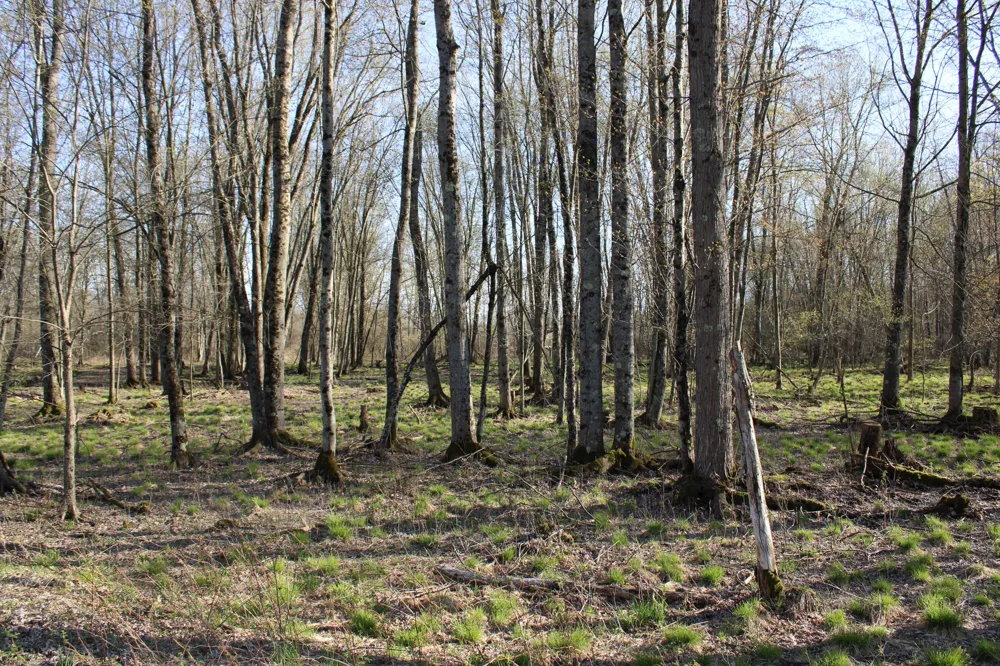 6095 E M 20 Hesperia, MI 49421