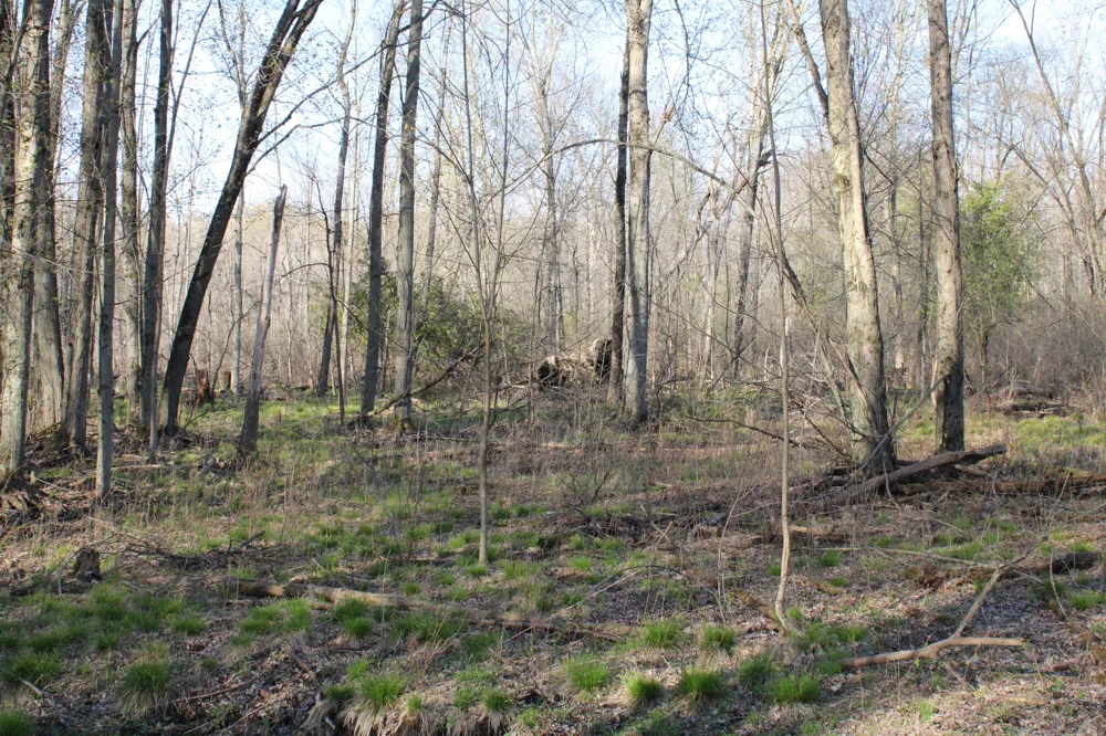 6095 E M 20 Hesperia, MI 49421