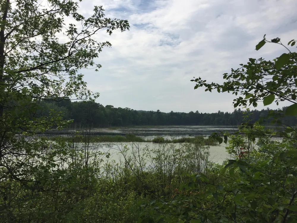 Dodge Lake Road Gaylord, MI 49735