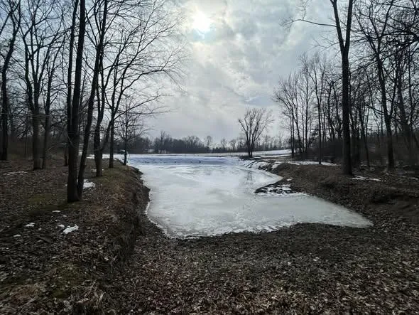 5018 S Rumsey Road Pittsford, MI 49271