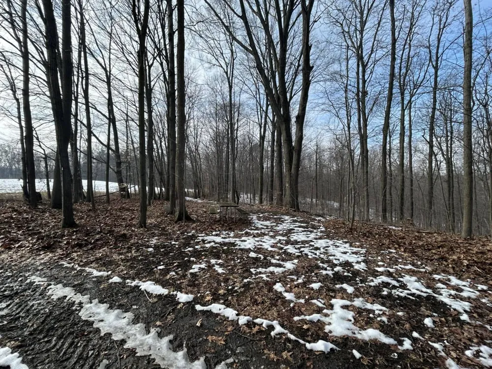 5018 S Rumsey Road Pittsford, MI 49271