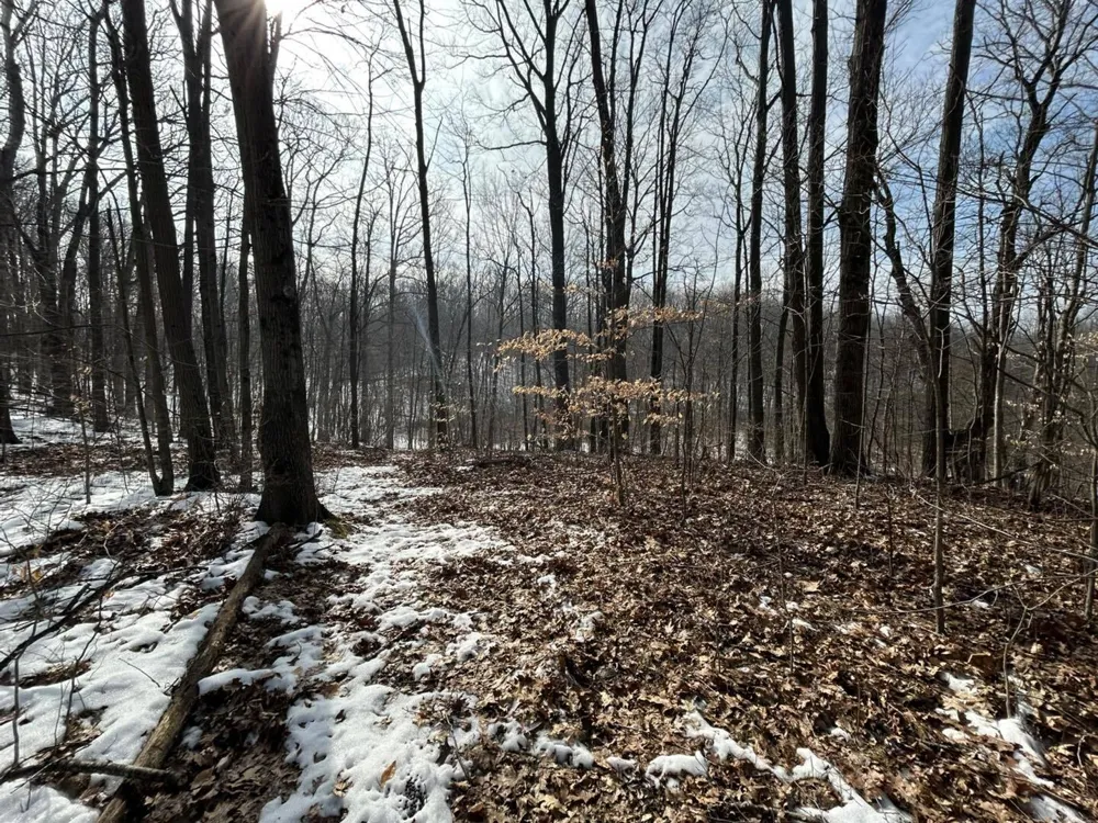5018 S Rumsey Road Pittsford, MI 49271