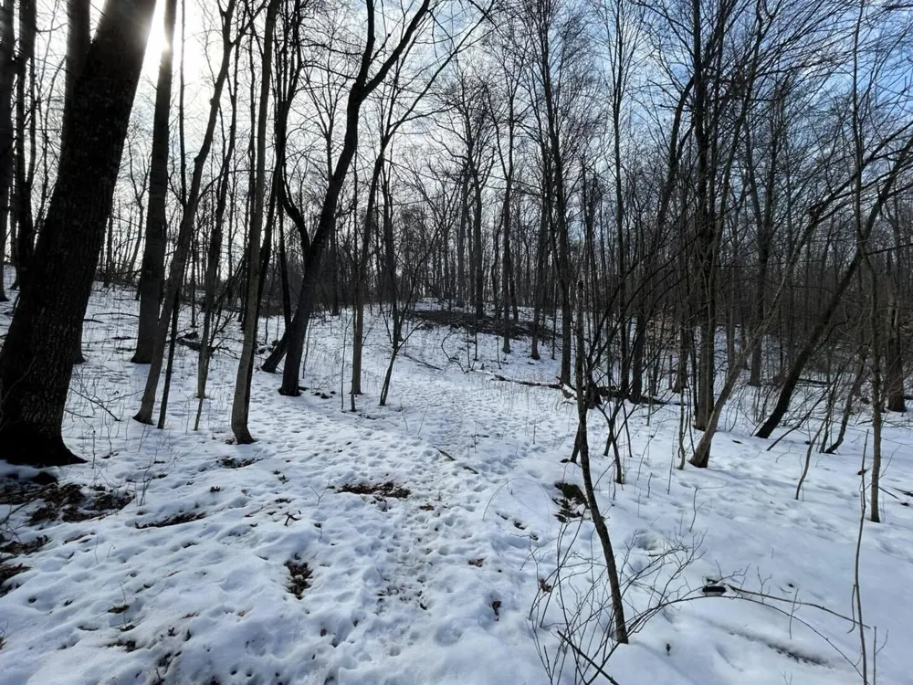 5018 S Rumsey Road Pittsford, MI 49271
