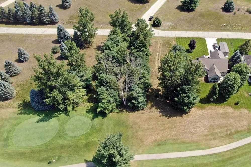 9772 Kellys Ct. #Lot 96 Canadian Lakes, MI 49346