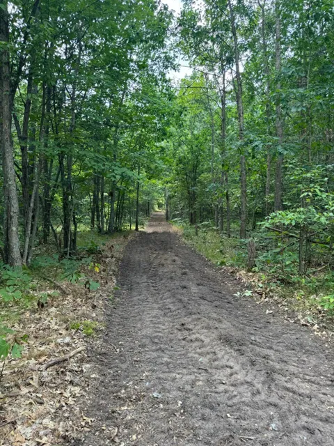 Dexter Road