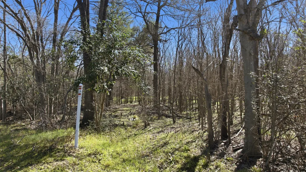 330 Half Avenue Rockdale, TX 76567