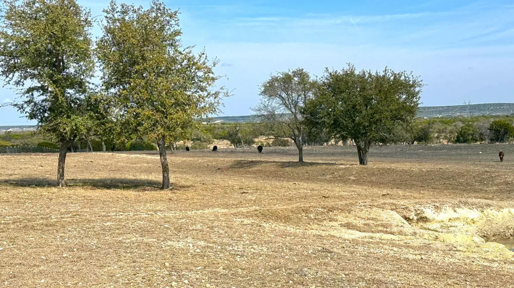 Whitetail Ridge Drive Kempner, TX 76539