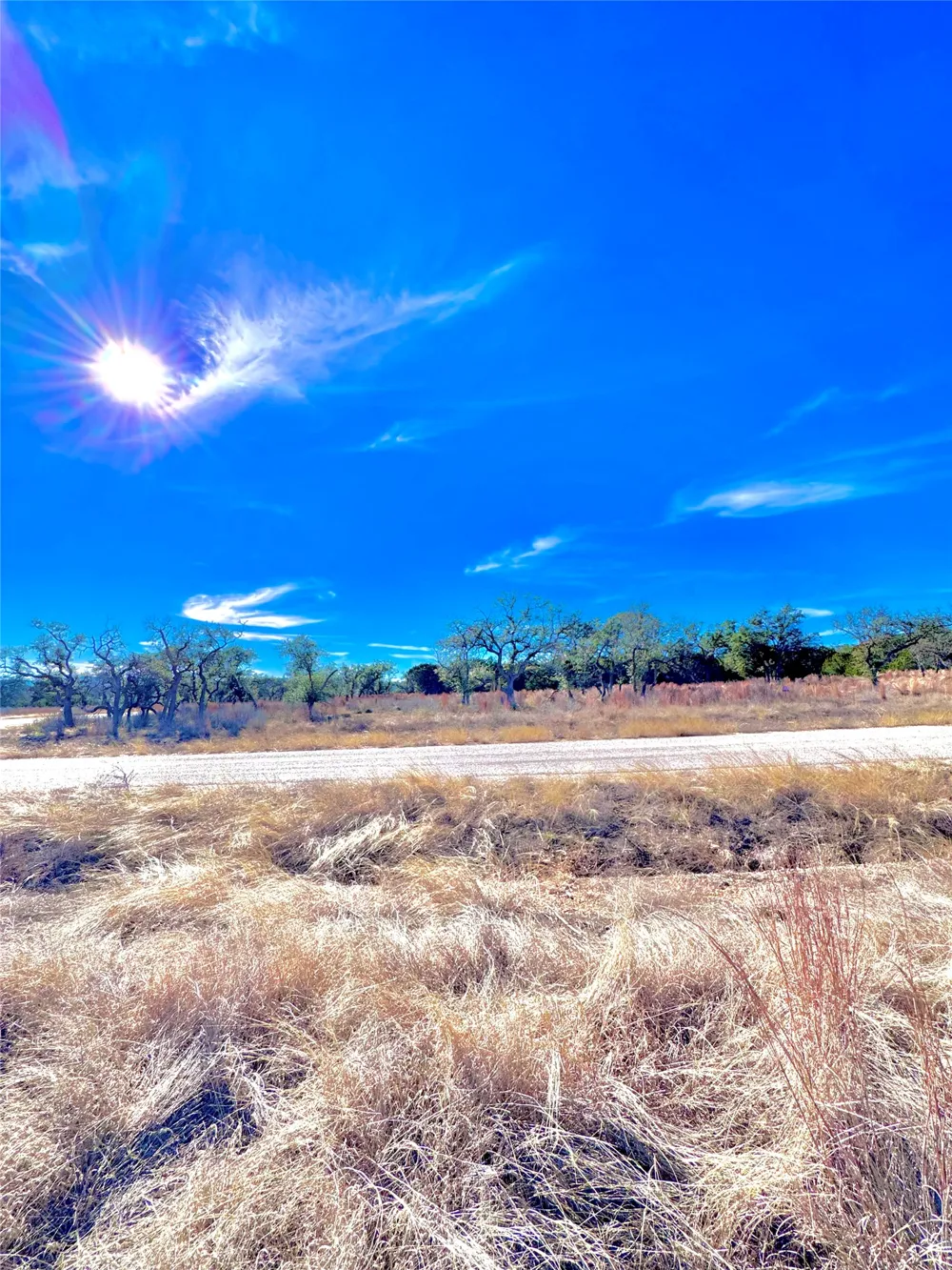 91 Citadel Drive Center Point, TX 78010