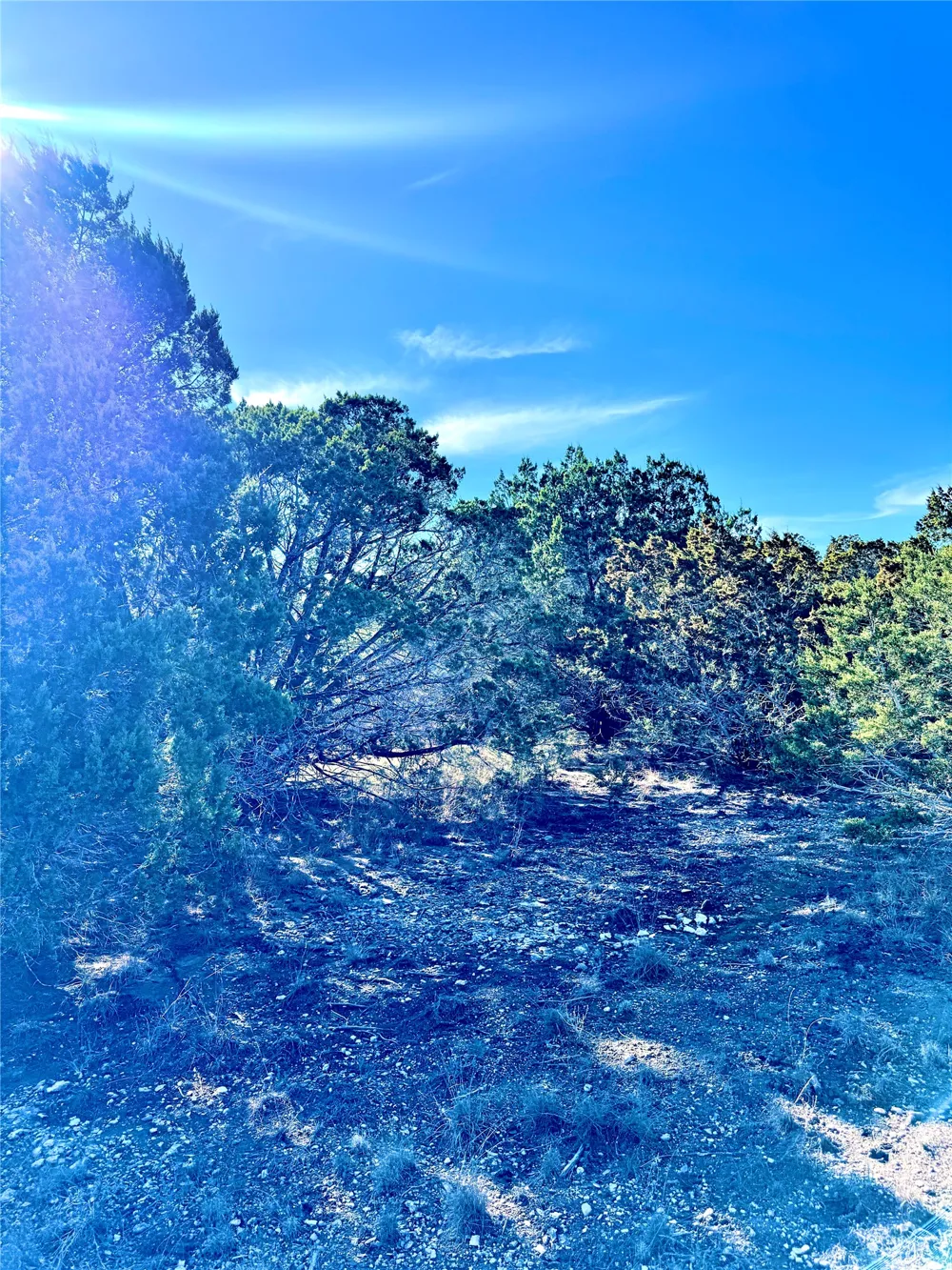91 Citadel Drive Center Point, TX 78010