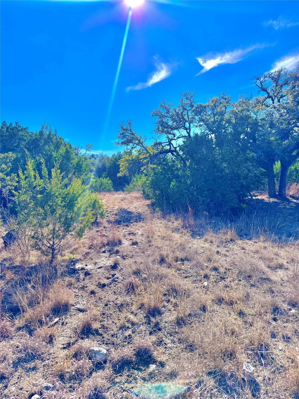 91 Citadel Drive Center Point, TX 78010