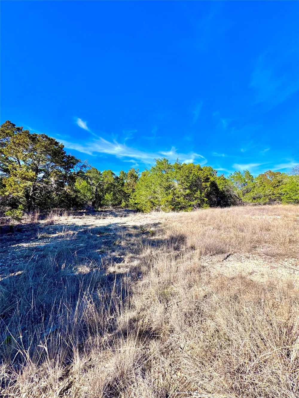 91 Citadel Drive Center Point, TX 78010