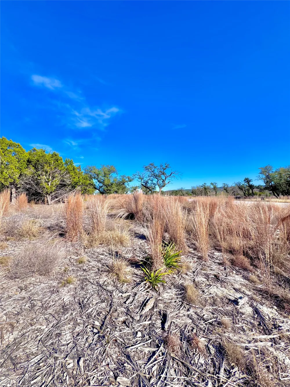 91 Citadel Drive Center Point, TX 78010