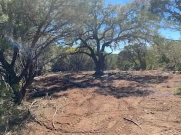 495 Buffalo Creek (Lot 95) Drive Evant, TX 76525