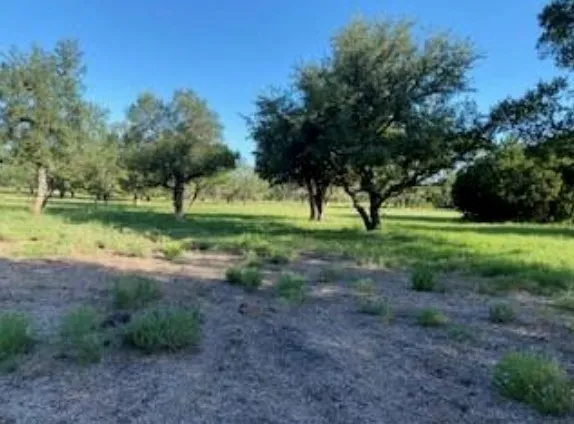 495 Buffalo Creek (Lot 95) Drive Evant, TX 76525