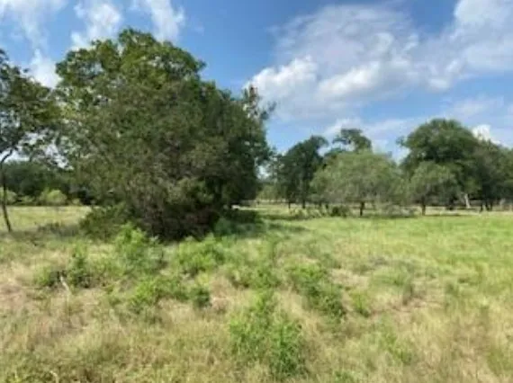 495 Buffalo Creek (Lot 95) Drive Evant, TX 76525