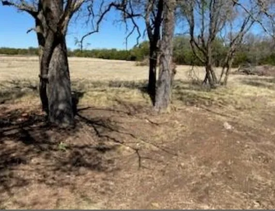 495 Buffalo Creek (Lot 95) Drive Evant, TX 76525