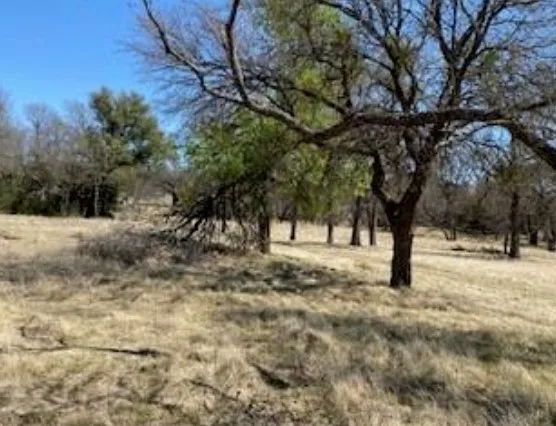 495 Buffalo Creek (Lot 95) Drive Evant, TX 76525