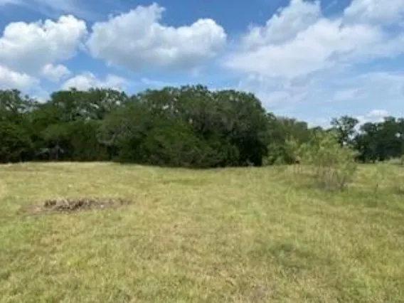 495 Buffalo Creek (Lot 95) Drive Evant, TX 76525