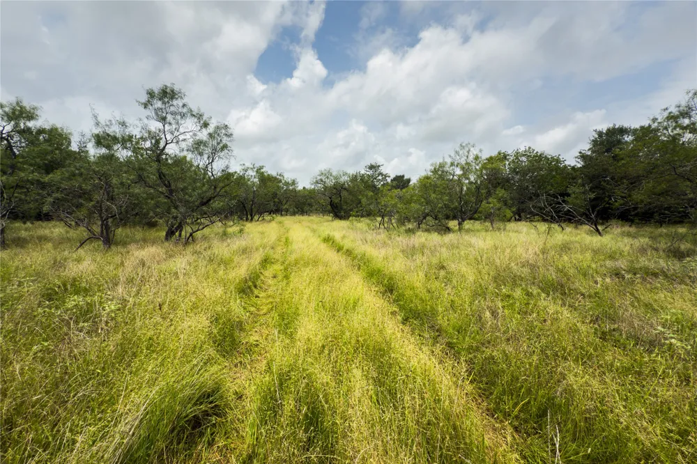 County Road 173 Marlin, TX 76661
