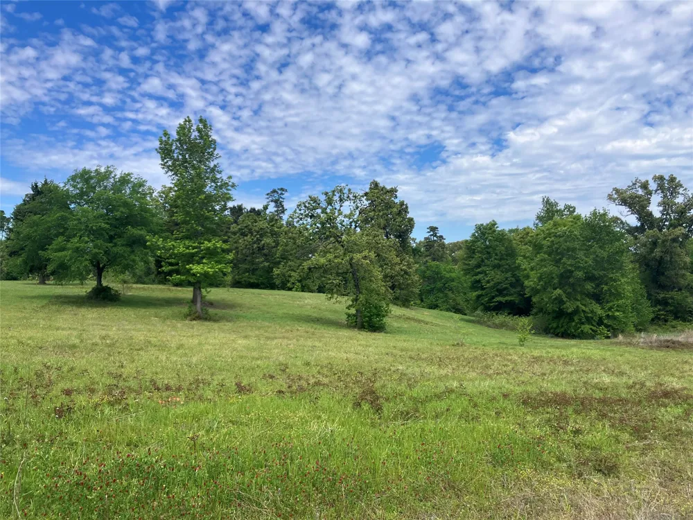 Ridgeline Loop Winona, TX 75792