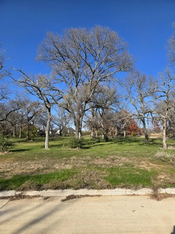 322 Arbor Cove Lane Oak Point, TX 75068