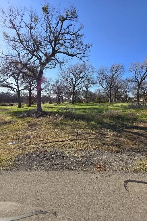 322 Arbor Cove Lane Oak Point, TX 75068