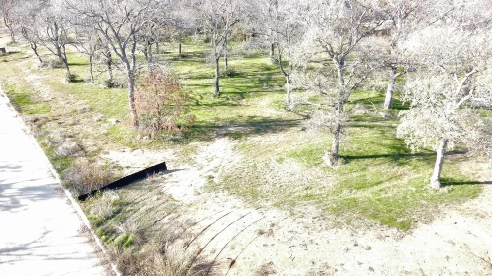 322 Arbor Cove Lane Oak Point, TX 75068
