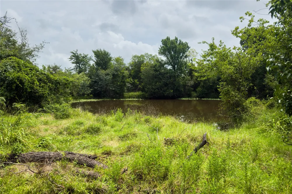 County Road 173 Marlin, TX 76661