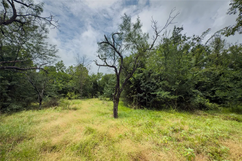County Road 173 Marlin, TX 76661