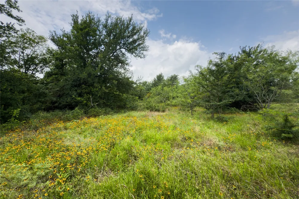 County Road 173 Marlin, TX 76661