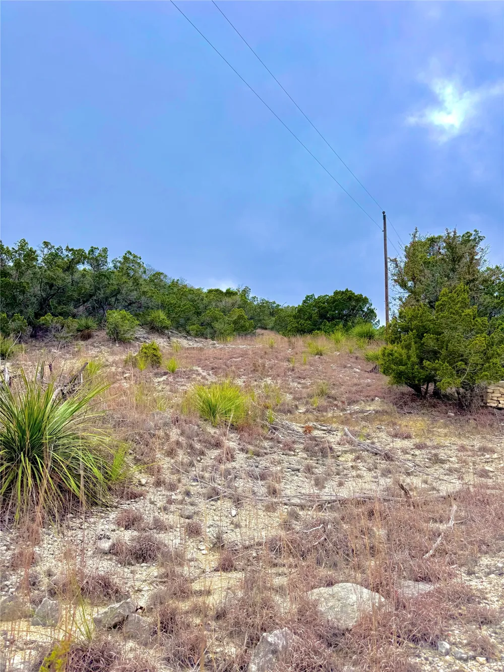 424 Armadillo Trail Drive E Center Point, TX 78013