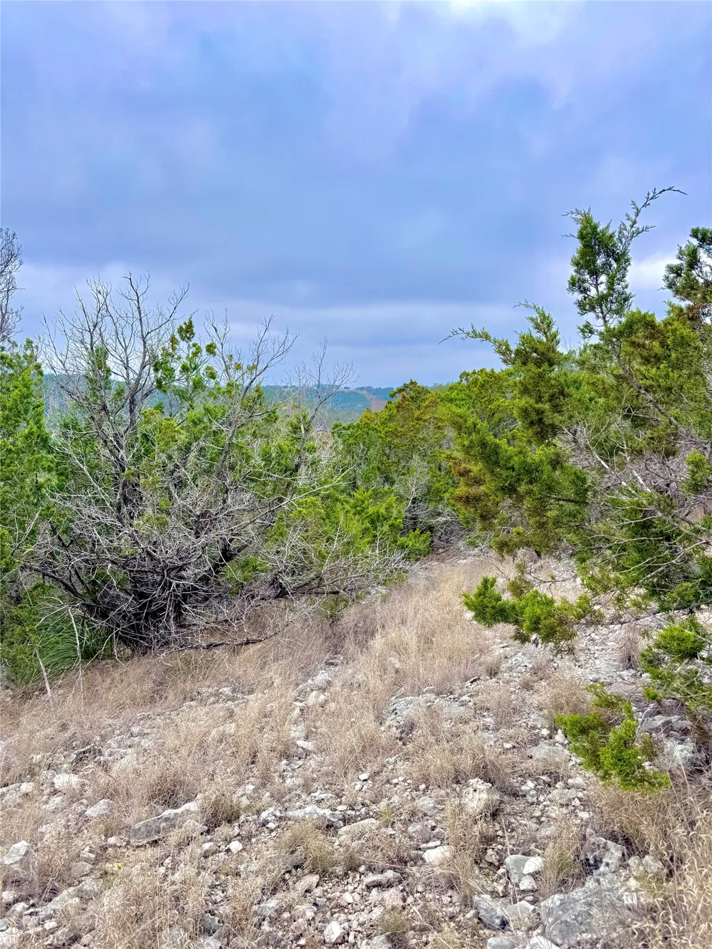 424 Armadillo Trail Drive E Center Point, TX 78013