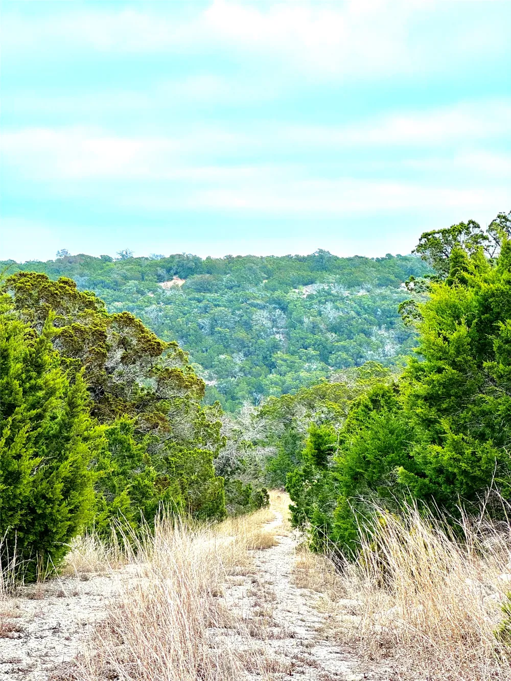 424 Armadillo Trail Drive E Center Point, TX 78013