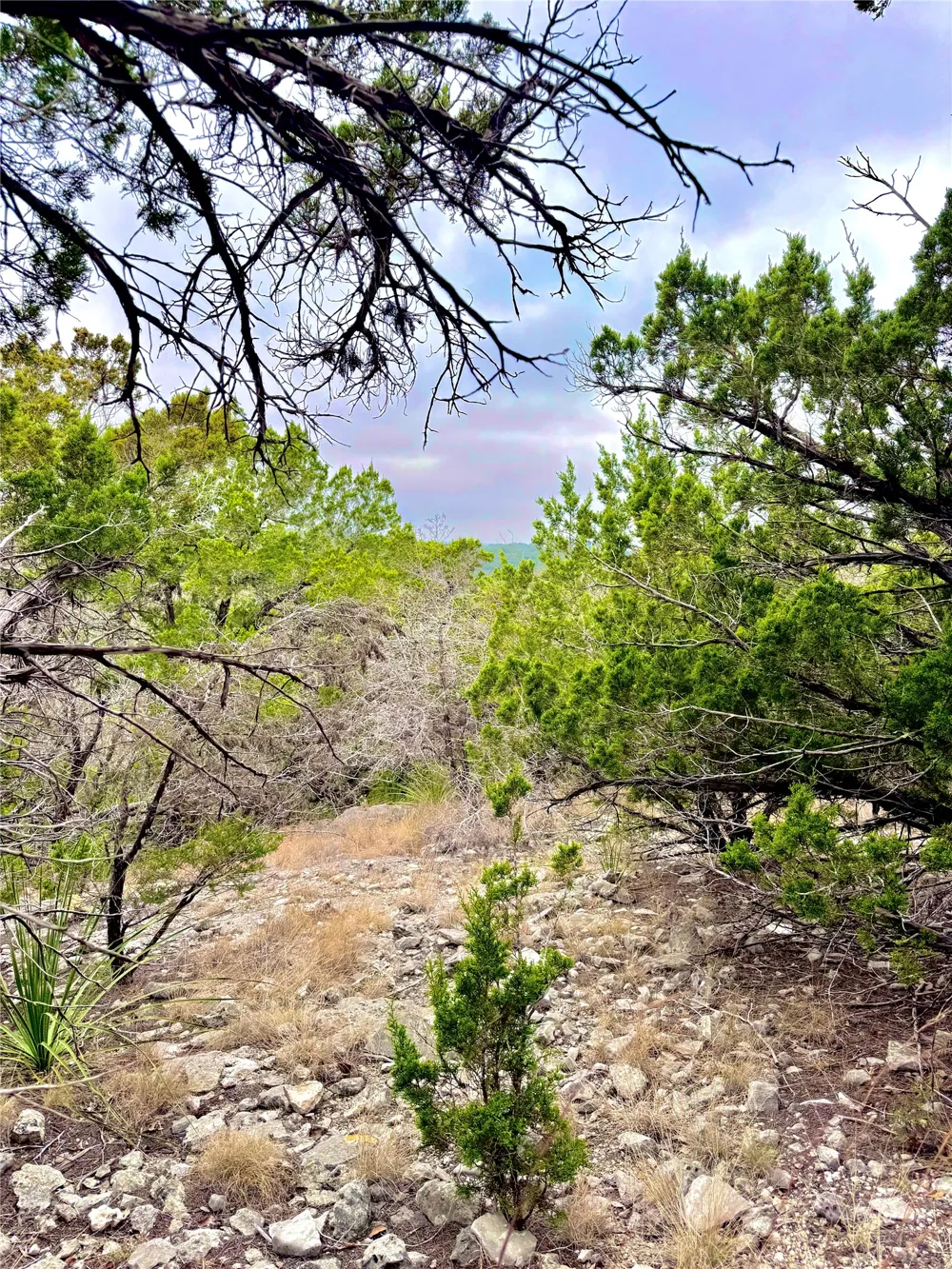 424 Armadillo Trail Drive E Center Point, TX 78013