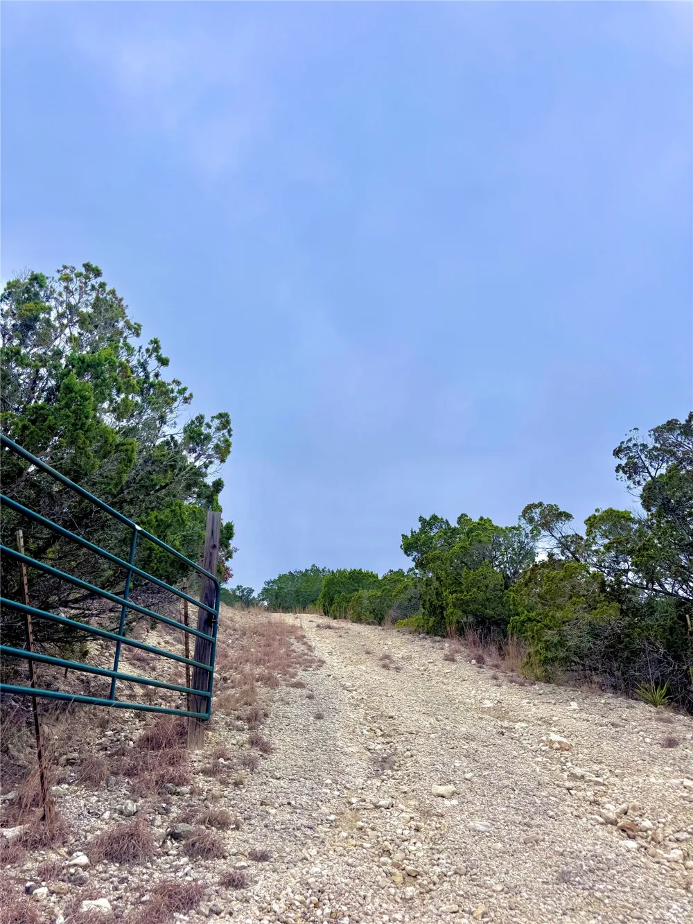 424 Armadillo Trail Drive E Center Point, TX 78013