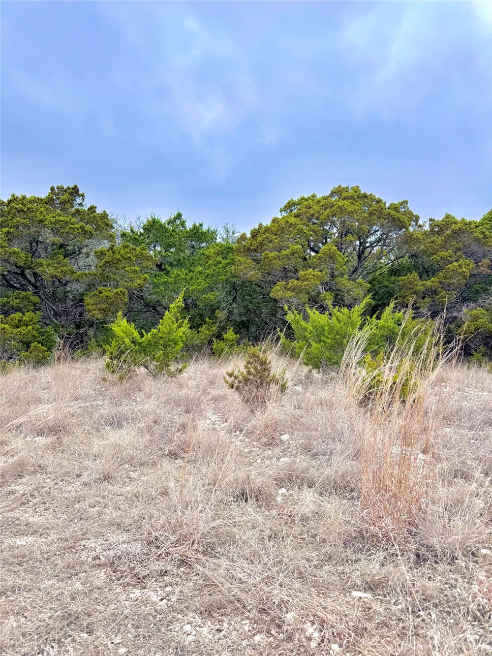 424 Armadillo Trail Drive E Center Point, TX 78013
