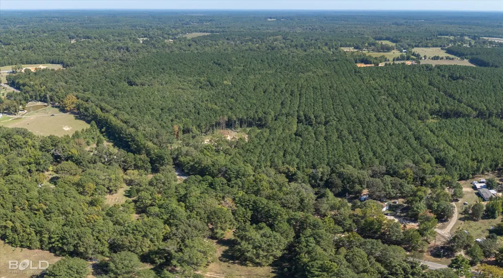Old Plain Dealing Plain Dealing, LA 71064