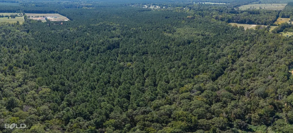 Old Plain Dealing Plain Dealing, LA 71064