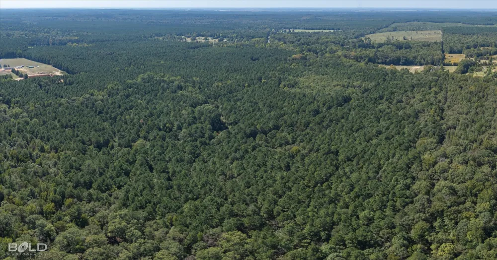Old Plain Dealing Plain Dealing, LA 71064