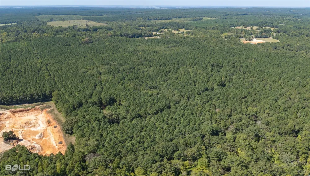 Old Plain Dealing Plain Dealing, LA 71064