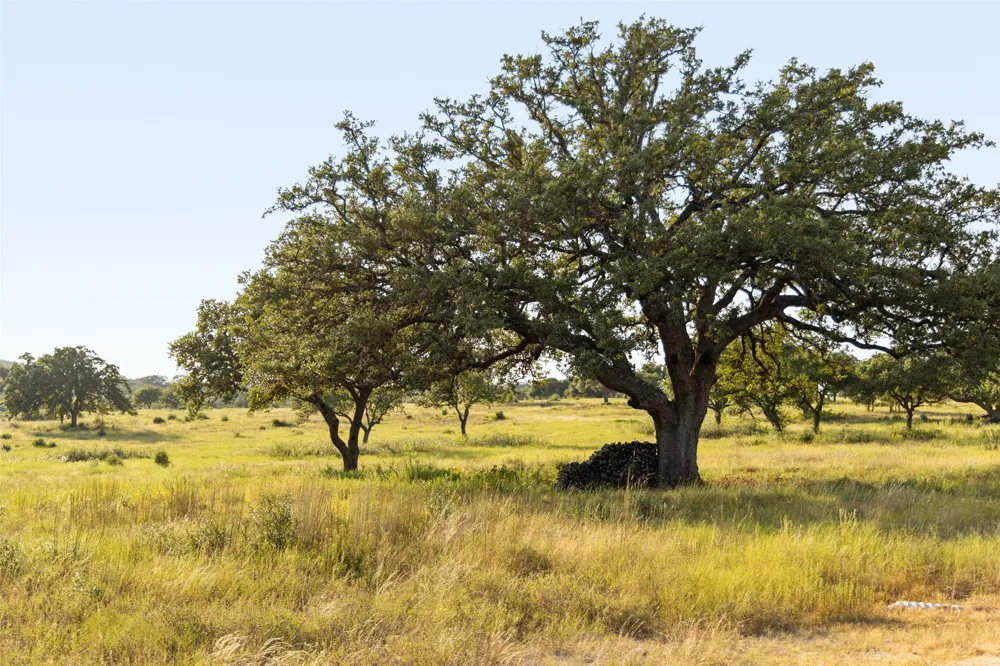 8577 Ranch Road 2766 Johnson City, TX 78636
