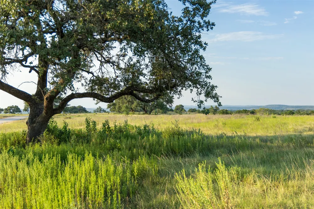 8577 Ranch Road 2766 Johnson City, TX 78636