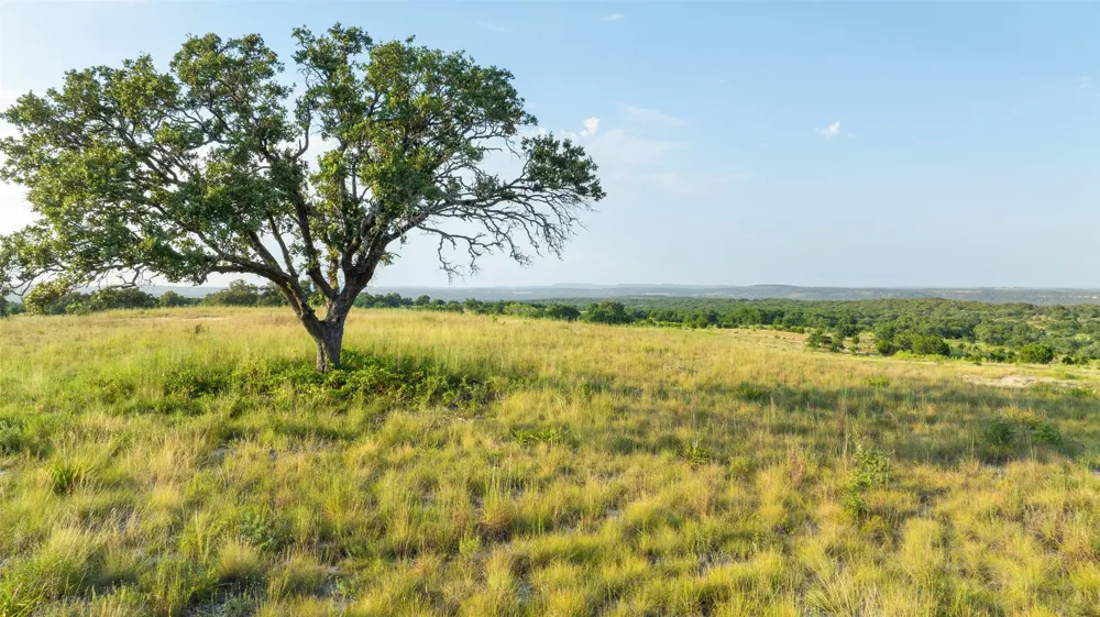 8577 Ranch Road 2766 Johnson City, TX 78636