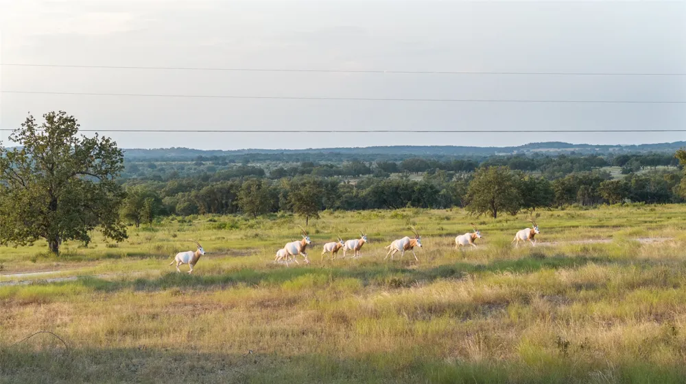 8577 Ranch Road 2766 Johnson City, TX 78636