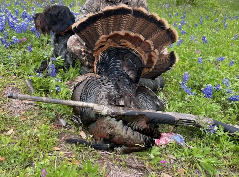 8577 Ranch Road 2766 Johnson City, TX 78636