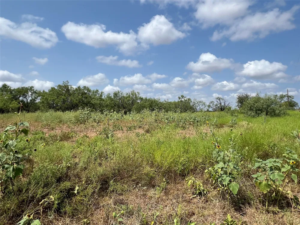 FM 614 Ovalo, TX 79541
