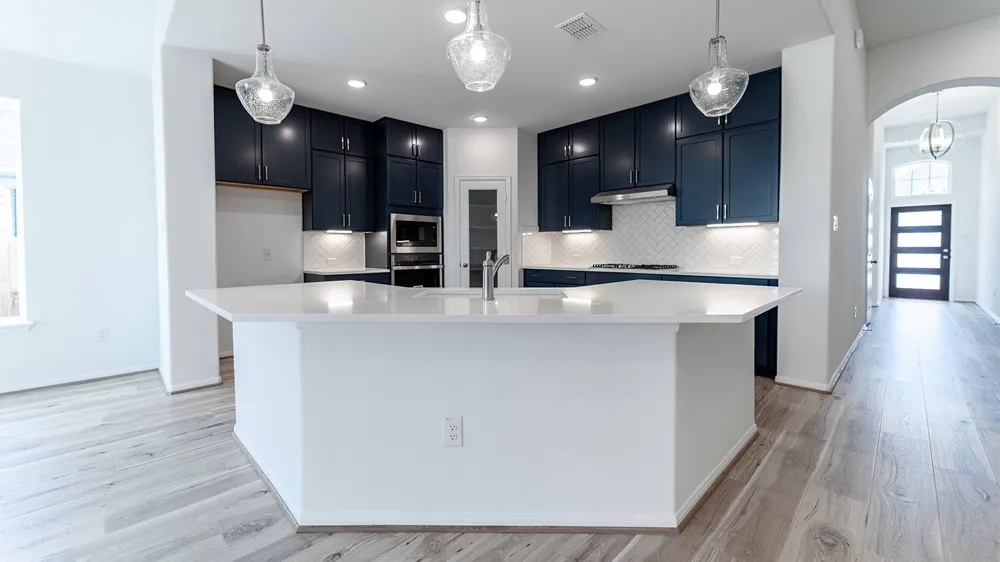 294 Rubber Tree Way Buda, TX 78610
