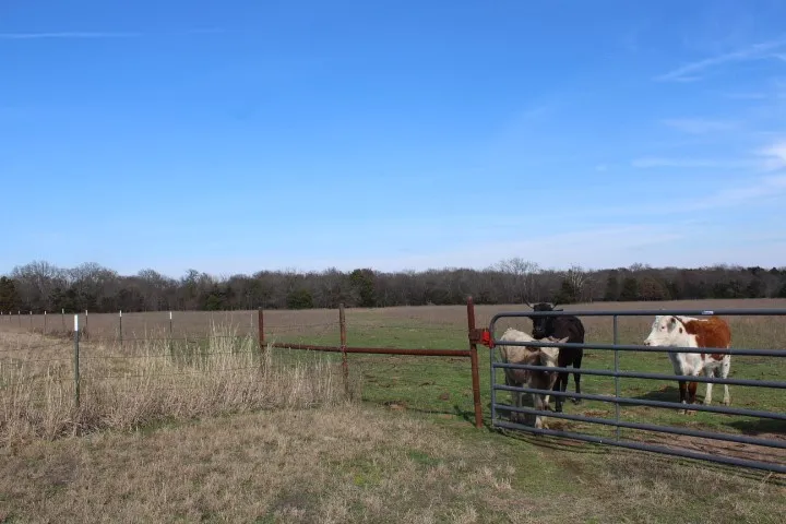2488 Rs County Road 1525 Point, TX 75472