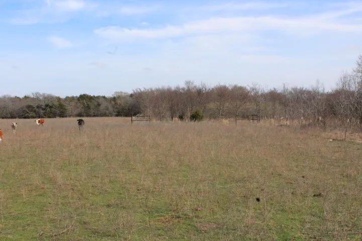 2488 Rs County Road 1525 Point, TX 75472